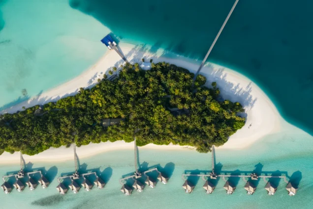 Maldivian Times
