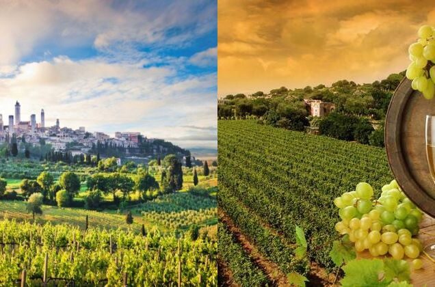 Food and Wine Tour in Tuscany
