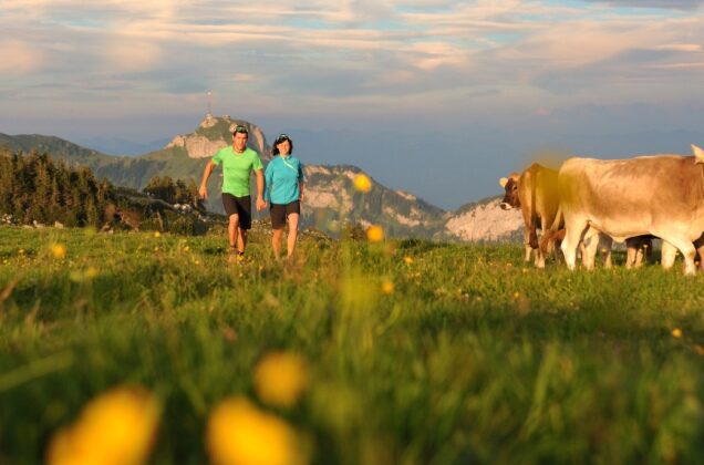 Swiss Alps and Lakes