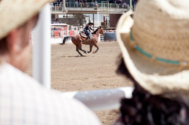 Calgary Stampede Extravaganza